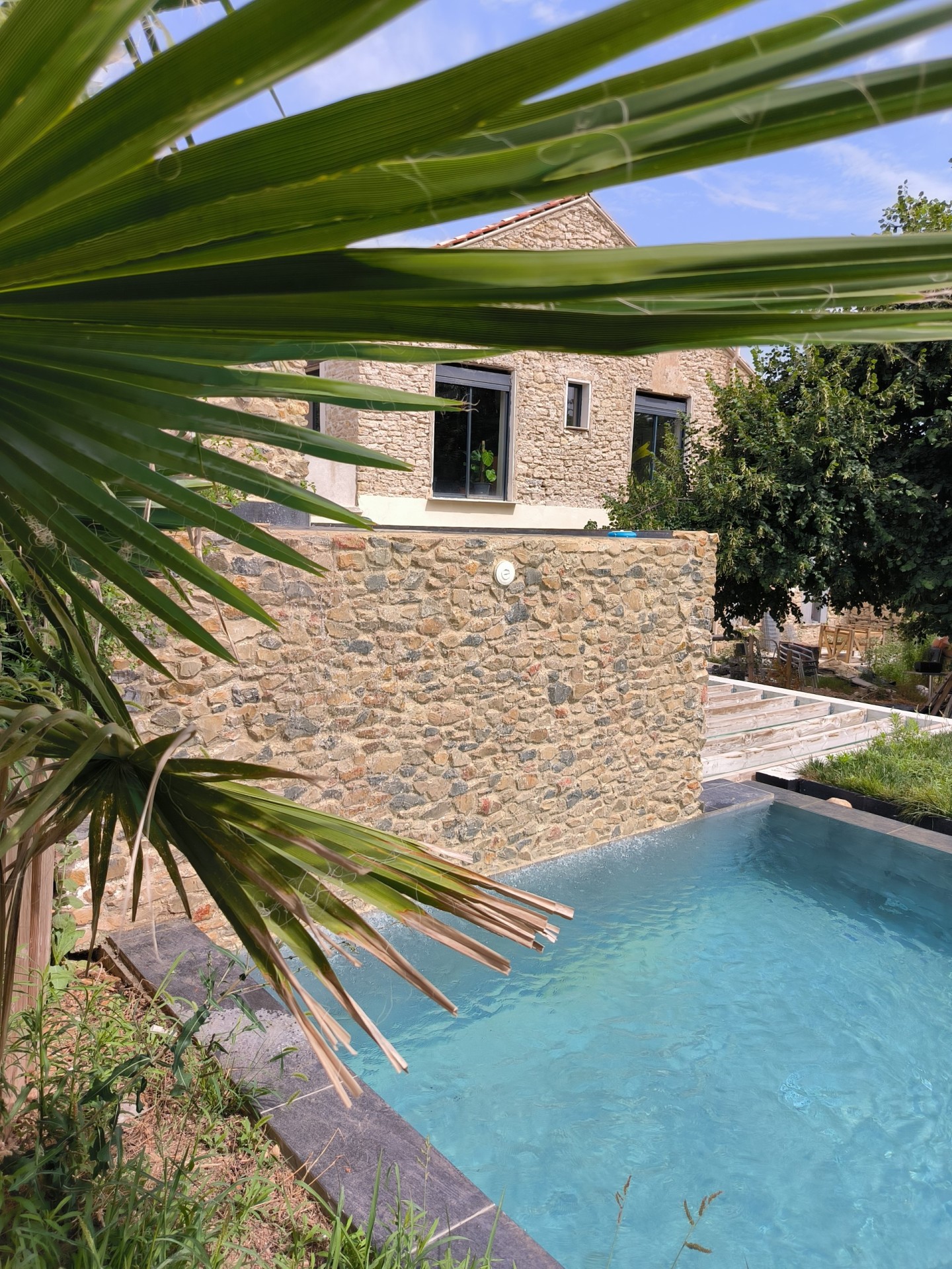 Piscine bas palmier